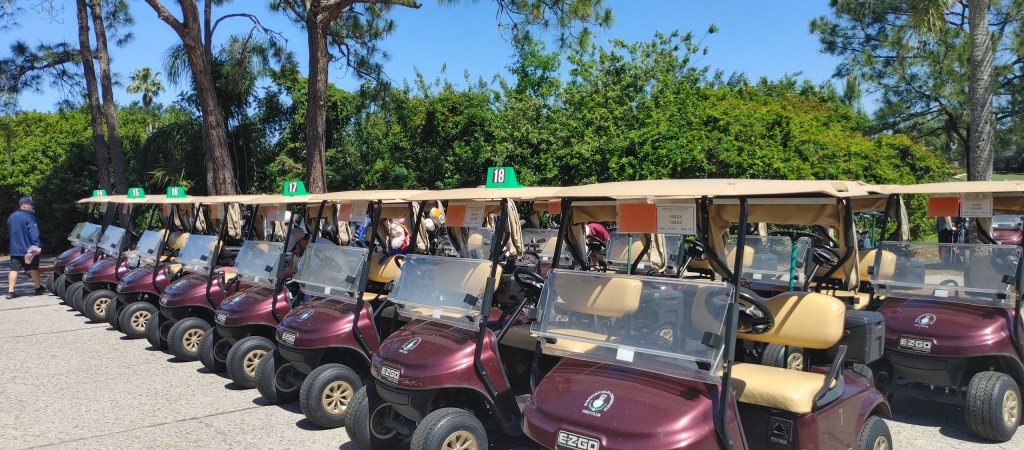 Row of golf carts