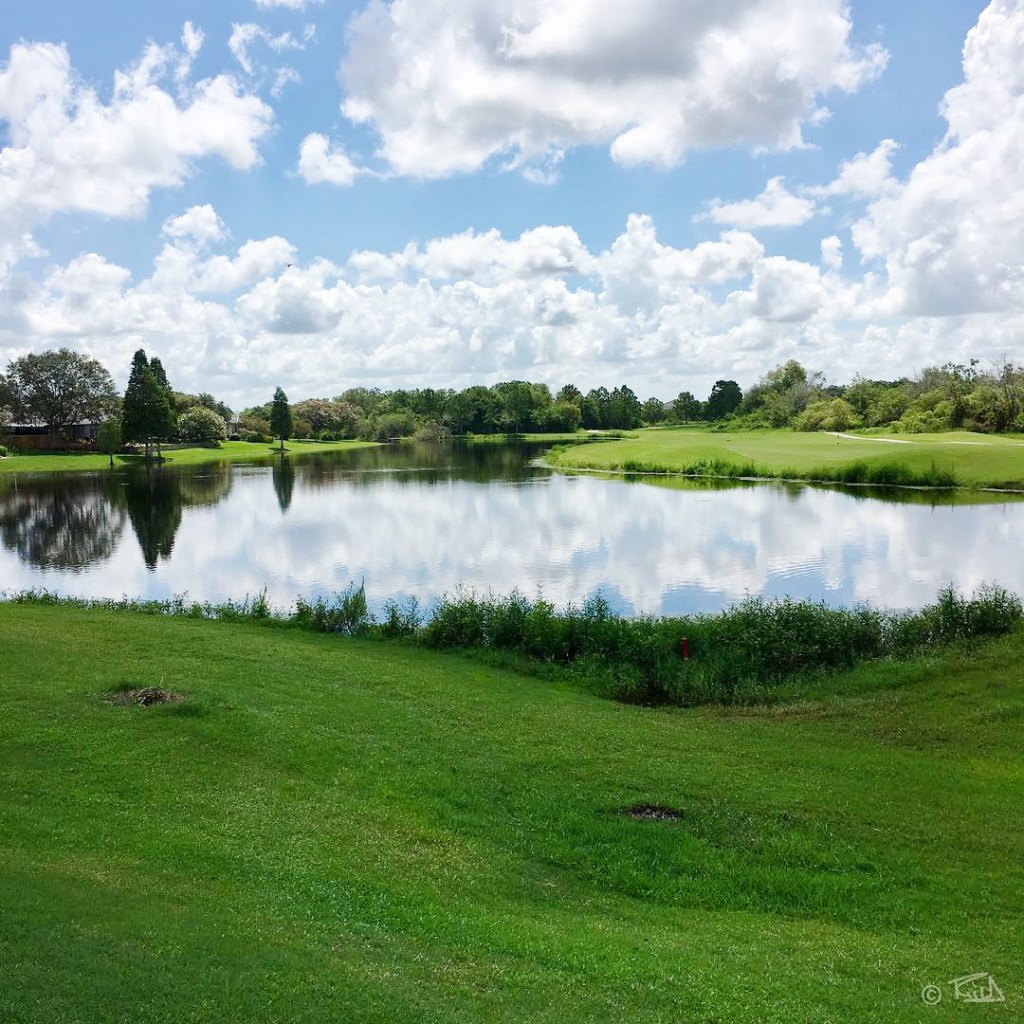 Golf Course Green